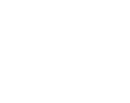 brain_icon